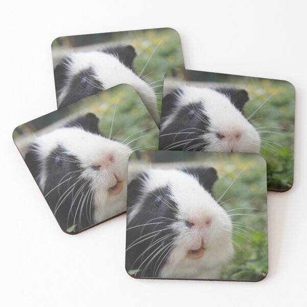 Item preview, guinea pigs in the grass designed and sold by Tapidesign.