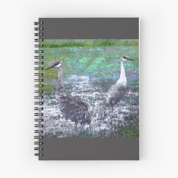 Item preview, Save the Fading Sandhill Cranes designed and sold by SandyMoulder.