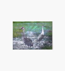 Save the Fading Sandhill Cranes Art Board