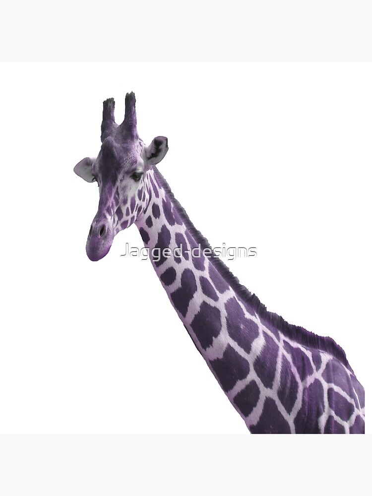 purple giraffe plush