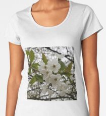 Spring Blossoms Women's Premium T-Shirt