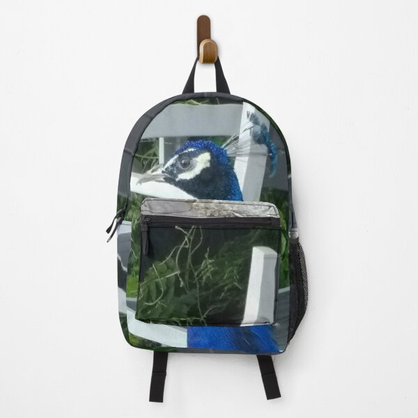 Item preview, #157 |☼| Peacock / Peafowl (Elsham Hall, Gardens & Country Park) designed and sold by Naean H.F. (Nez Man).