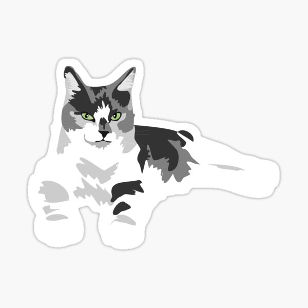 "Bumpers" Sticker for Sale by VieiraGirl Redbubble