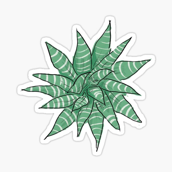 Zebra Succulent Sticker