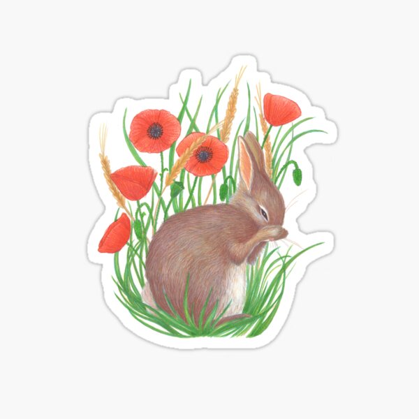 shy bunny among poppies Sticker