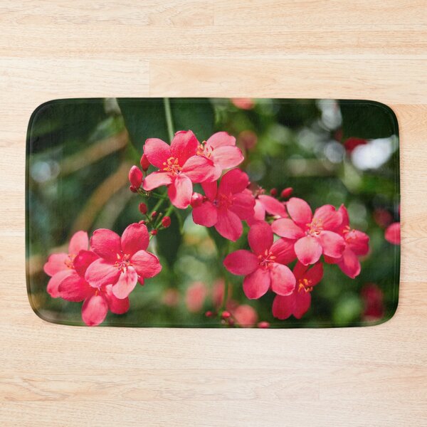 Item preview, Reds and greens. Spicy jatropha designed and sold by Jouko Lehto Photography.