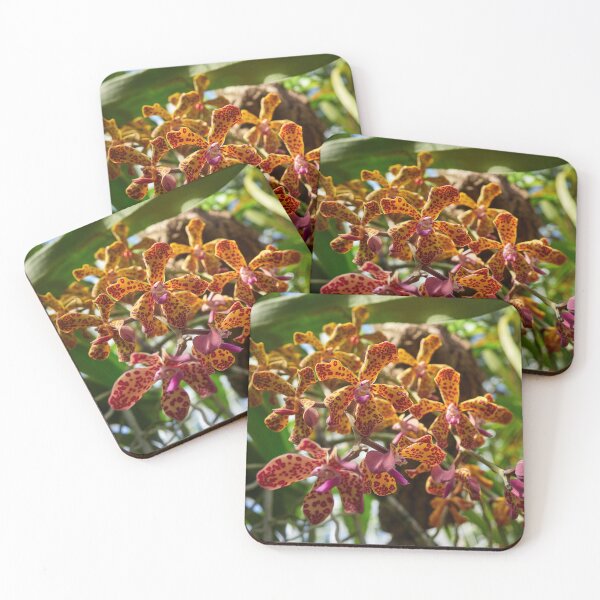 Item preview, Vandopsis lissochiloides orchid designed and sold by Jouko Lehto Photography.