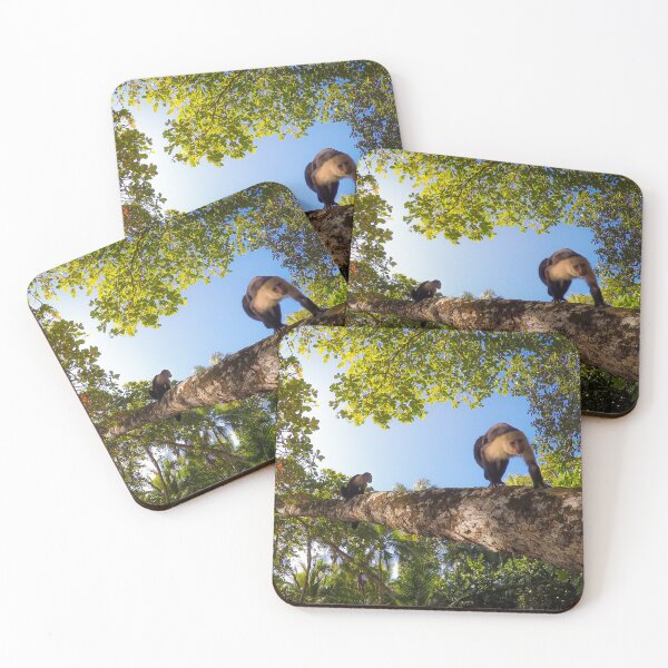 Item preview, Capuchin Monkeys in Tropical Forest designed and sold by Nicklas81.