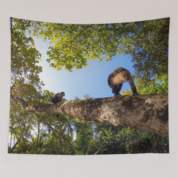 Item preview, Capuchin Monkeys in Tropical Forest designed and sold by Nicklas81.