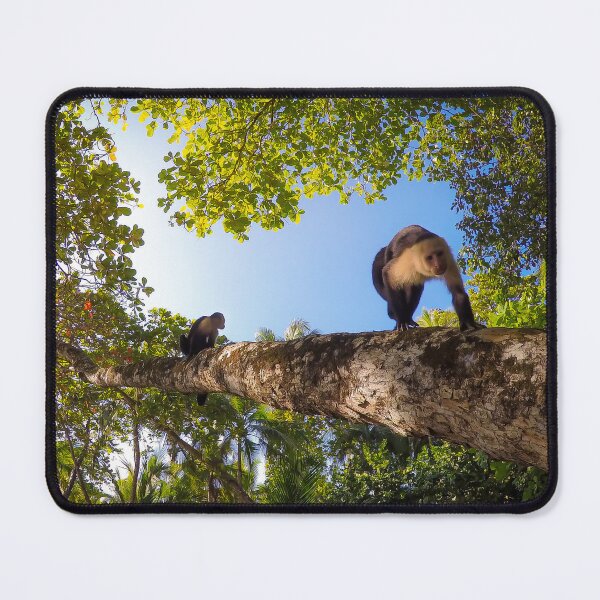 Item preview, Capuchin Monkeys in Tropical Forest designed and sold by Nicklas81.