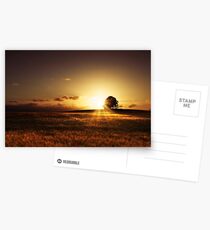 Sunset Postcards