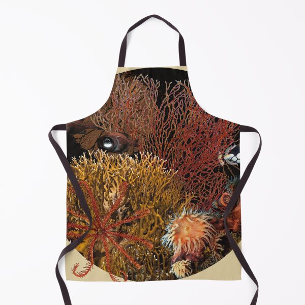 Item preview, RedSea night dive designed and sold by Dagagi.