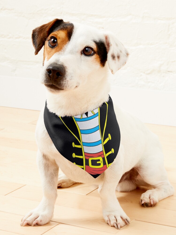 Buccaneer Pirate Pet Dog Costume