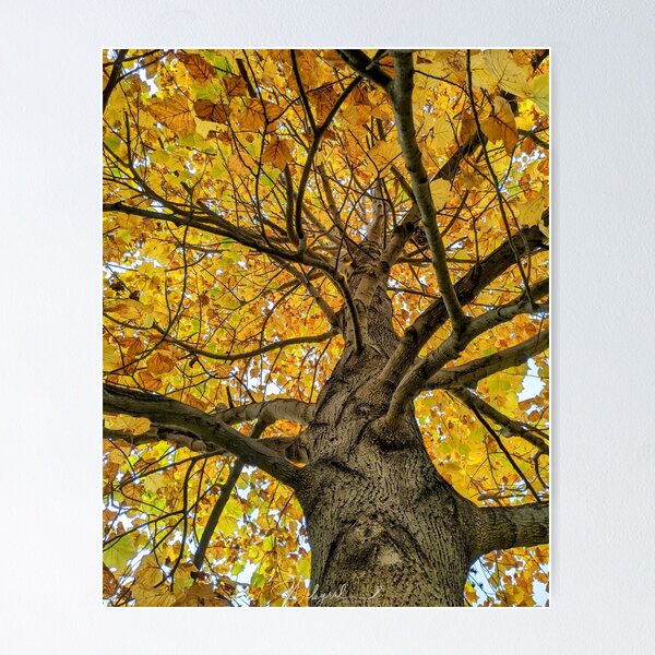 Item preview, Artistree Autumn Gold 2022 designed and sold by webgrrl.