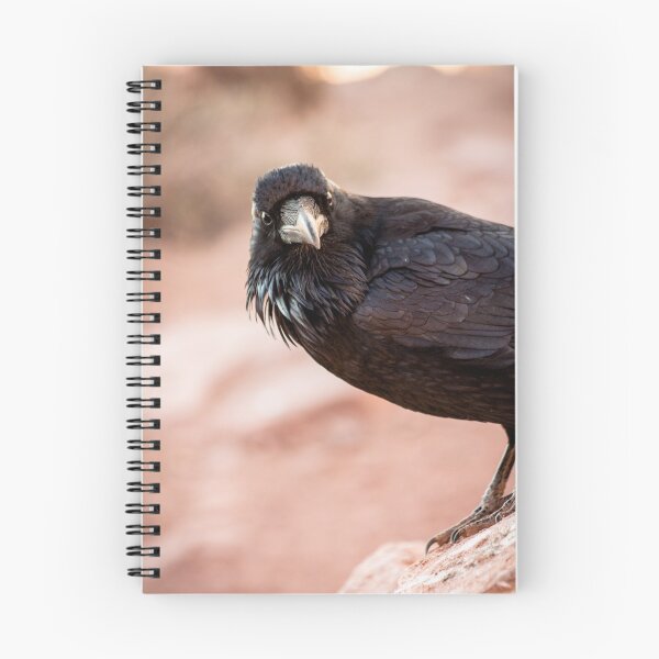 Item preview, Curious Crow designed and sold by Colin Tobin.