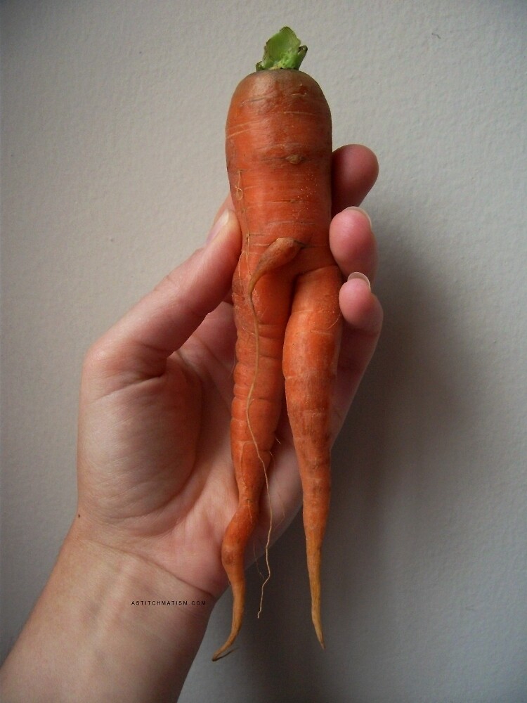 Of Veggie Weenies - Carrot by astitchmatism