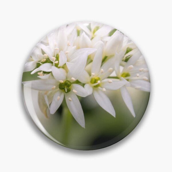 Item preview, Wild Garlic designed and sold by JEZ22.