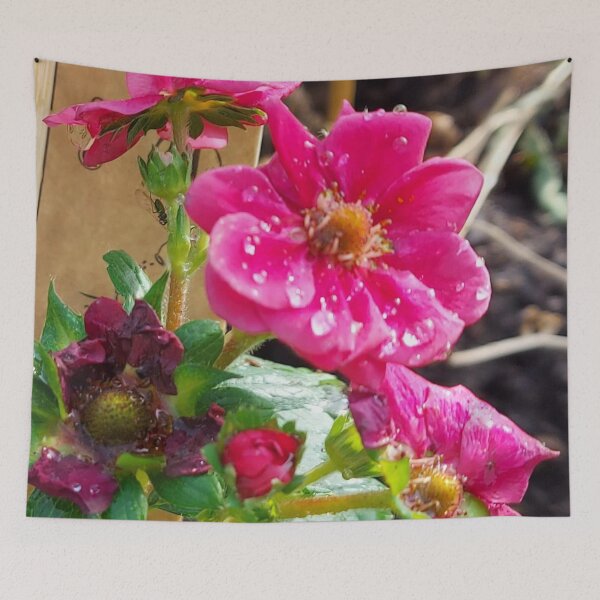 Item preview, Pink Strawberry Blossom designed and sold by hajarsdeco.