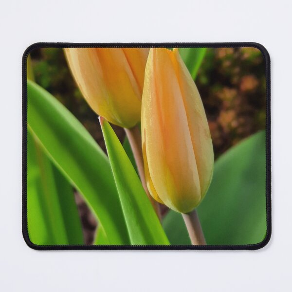 Item preview, Tulip under trees designed and sold by Tapidesign.
