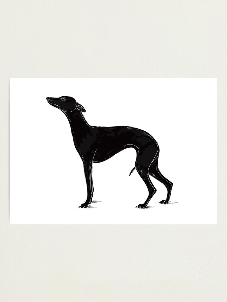 Whippet. Plaque commémorative en acrylique noir.