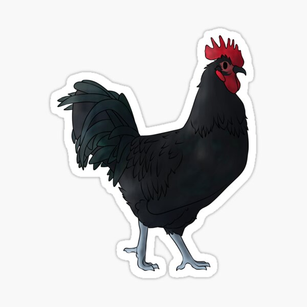 Item preview, Black Australorp Rooster designed and sold by Clucky-Designs.
