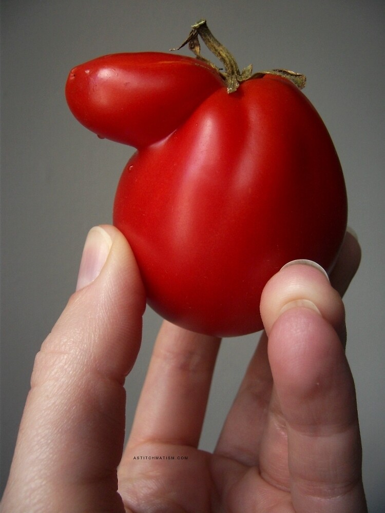 Of Veggie Weenies - Tomato by astitchmatism