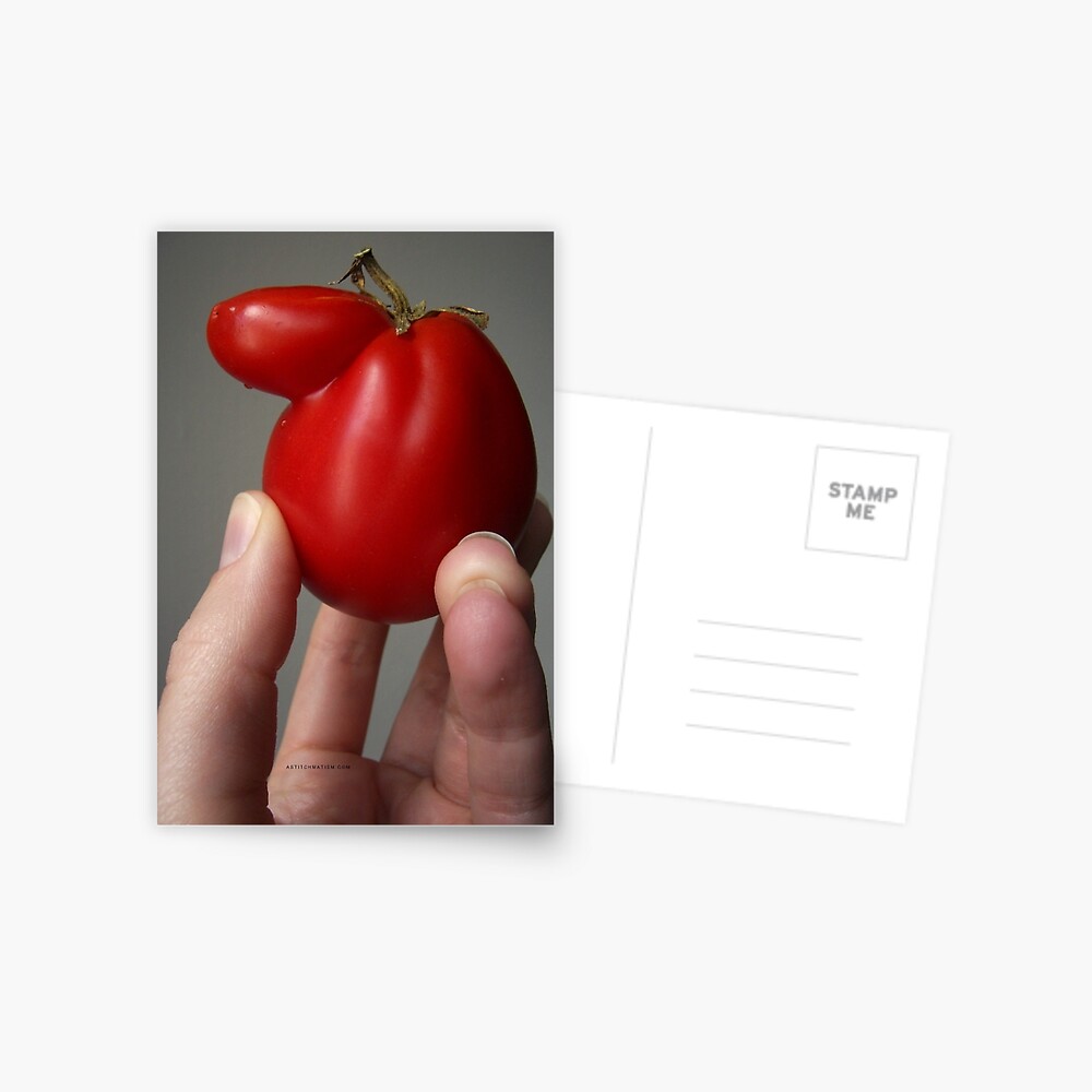 Of Veggie Weenies - Tomato Postcard