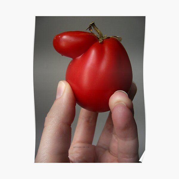 Of Veggie Weenies - Tomato Poster