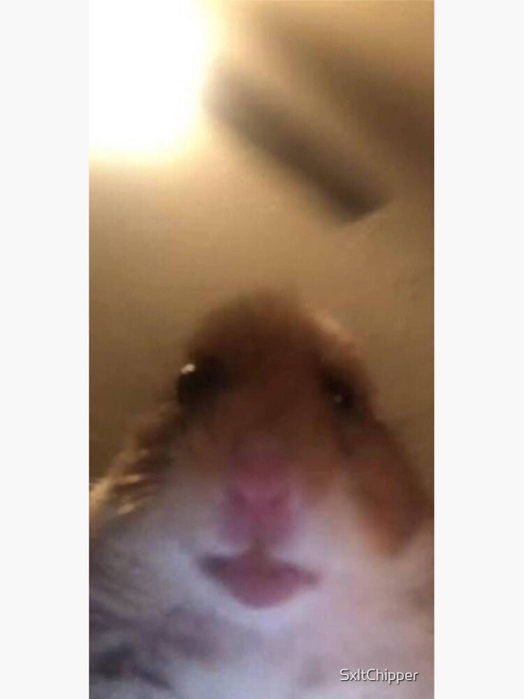 quot Hamer quot Sticker for Sale by SxltChipper Redbubble