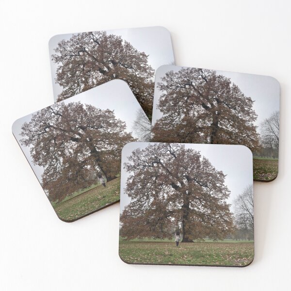 Item preview, Richmond park London designed and sold by aliztisoczki.