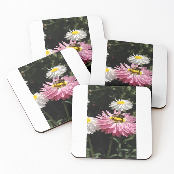 Item preview, Hoverfly on flower designed and sold by mthyselius.