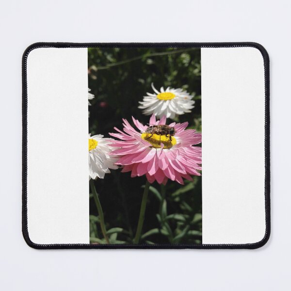 Item preview, Hoverfly on flower designed and sold by mthyselius.