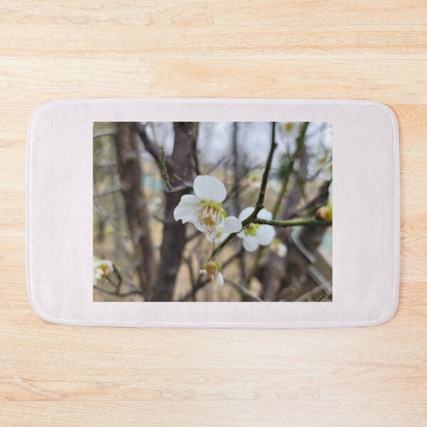 Item preview, white plum blossom flower on the weir of the Yeongsan River next to the Sports Complex in Buk-gu, Gwangju,korea designed and sold by human8891.