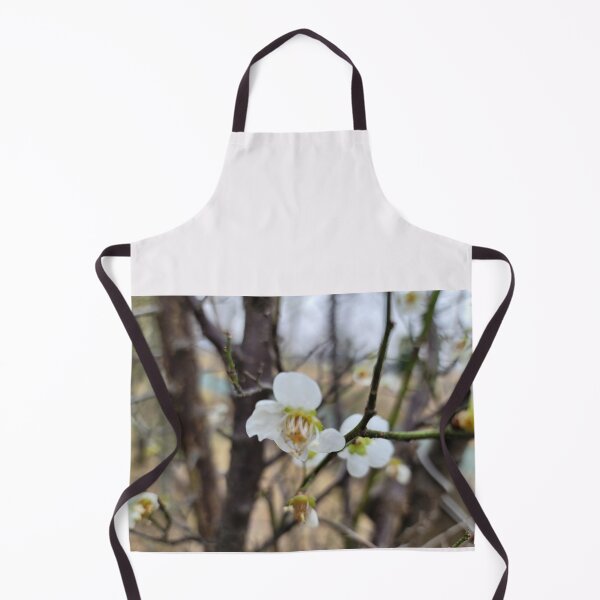 Item preview, white plum blossom flower on the weir of the Yeongsan River next to the Sports Complex in Buk-gu, Gwangju,korea designed and sold by human8891.