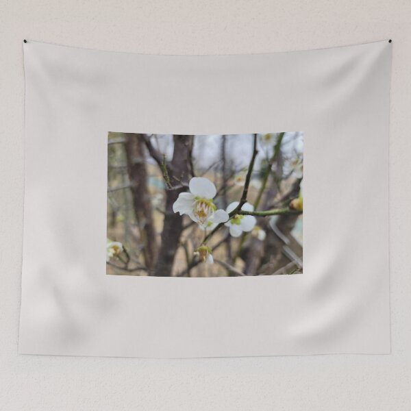 Item preview, white plum blossom flower on the weir of the Yeongsan River next to the Sports Complex in Buk-gu, Gwangju,korea designed and sold by human8891.