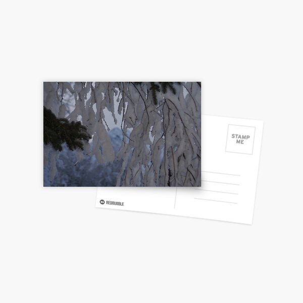 Beneath the Branches Postcard