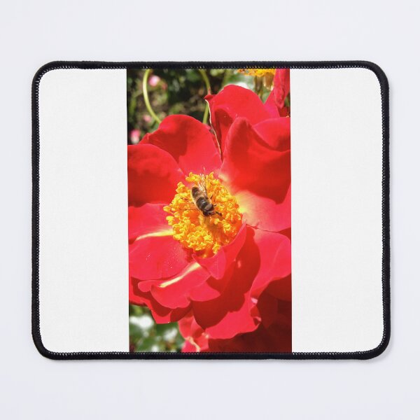 Item preview, Hoverfly alimentándose de amapola designed and sold by mthyselius.