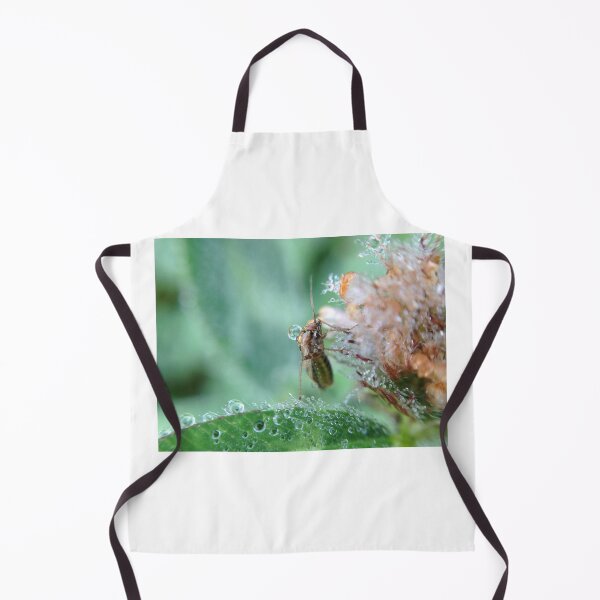 Item preview, Beetle in the morning designed and sold by mthyselius.