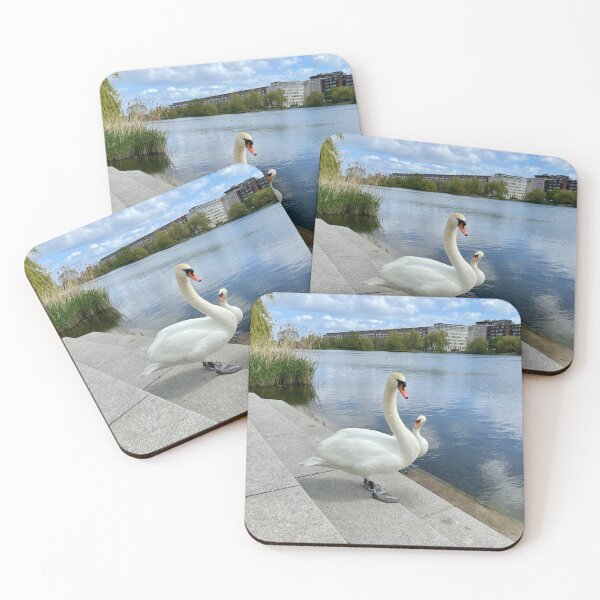 Item preview, Swans by The Lakes, Copenhagen • 2022 designed and sold by Mortinus.