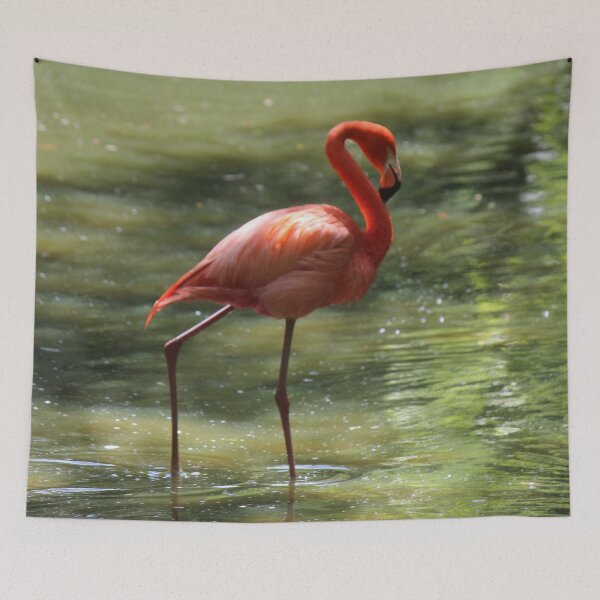 Item preview, Flamingo Portrait designed and sold by Bob Hardy.