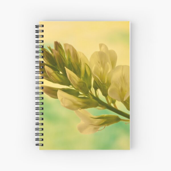 Item preview, White Milkvetch Wild Flower Macro designed and sold by Sandra Foster.