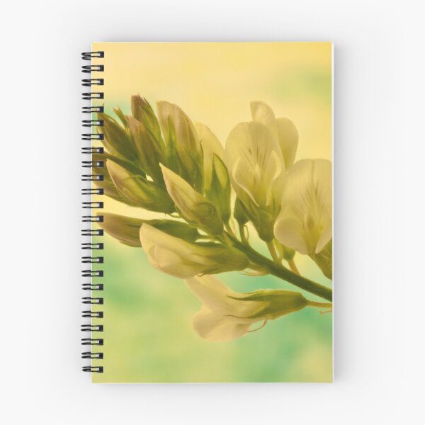 Item preview, White Milkvetch Wild Flower Macro designed and sold by Sandra Foster.