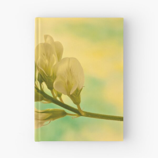 Item preview, White Milkvetch Wild Flower Macro designed and sold by Sandra Foster.