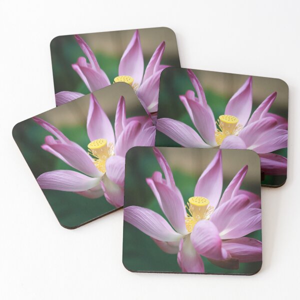 Item preview, Lotus Water Lily Pink designed and sold by BojerShop.
