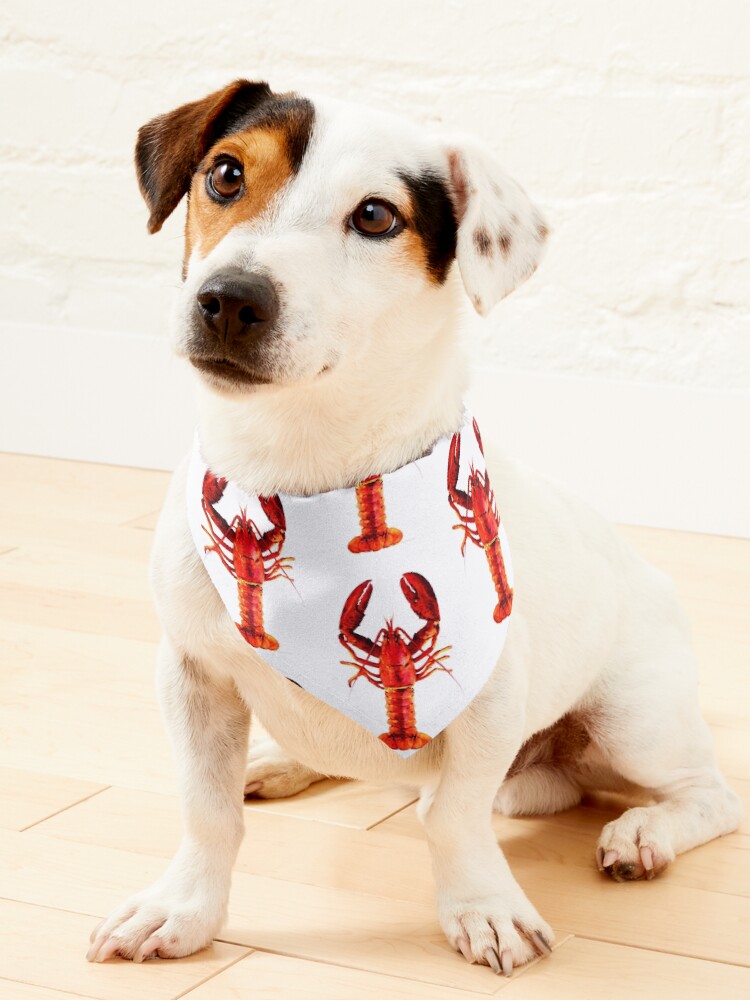 Lobster store dog bandana