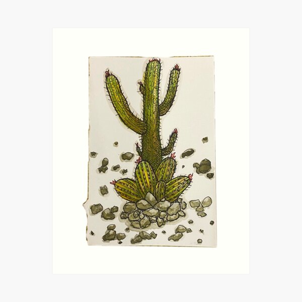 Cactus blooms  Art Print