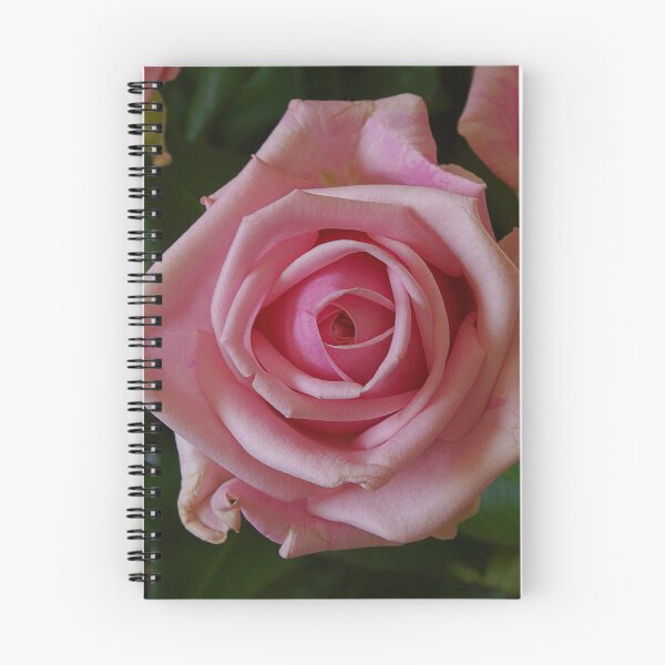 Item preview, Special Day Rose designed and sold by Gilberte.