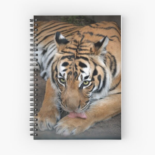 Item preview, Malayan Tiger designed and sold by Savannah Gibbs.
