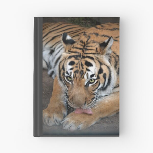 Item preview, Malayan Tiger designed and sold by Savannah Gibbs.
