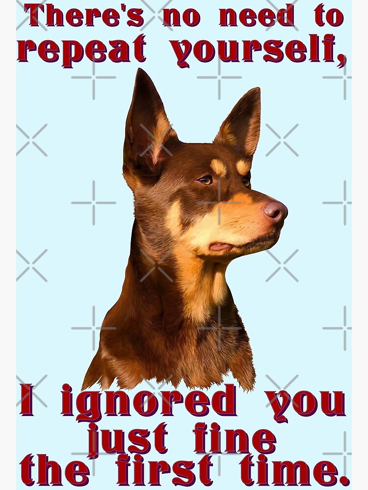 Australian Kelpie no need to repeat yourself